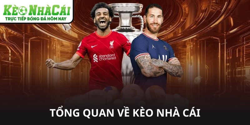 Giá Xe Máy Điện Vinfast Feliz – Hướng Dẫn Chọn Kèo Thắng Lợi